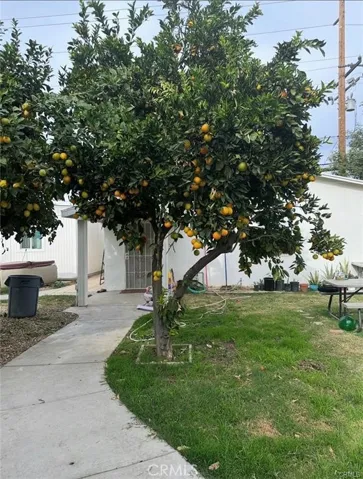 1632 Gould, Loma Linda, California 92354