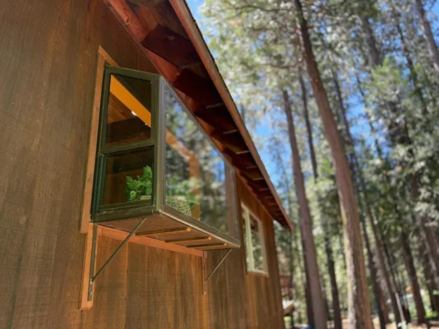 Garden window off kitchen as seen from side of house