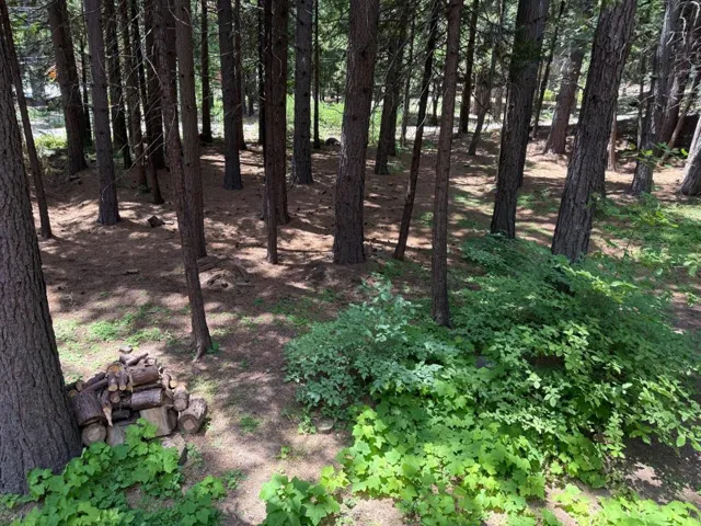 Adjacent included vacant lot. A driveway was created to park oversized vehicle under deck
