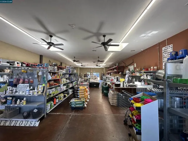 Interior 1