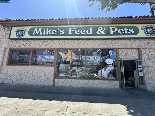 Front of Store