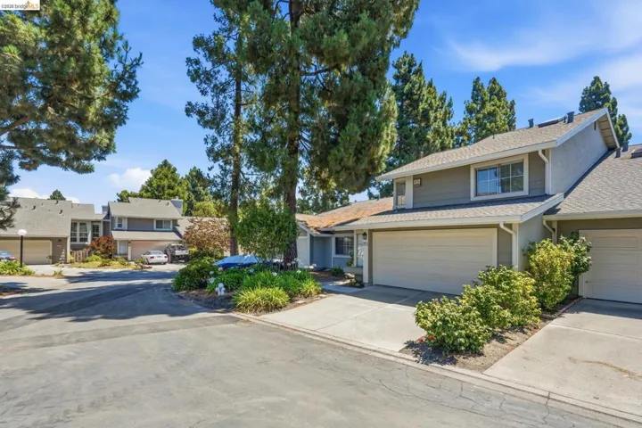 Exterior featuring a two-car garage, mature trees, concrete driveway, and established landscaping