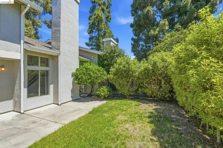 Private yard space featuring a concrete patio, a grass lawn, and mature perimeter landscaping