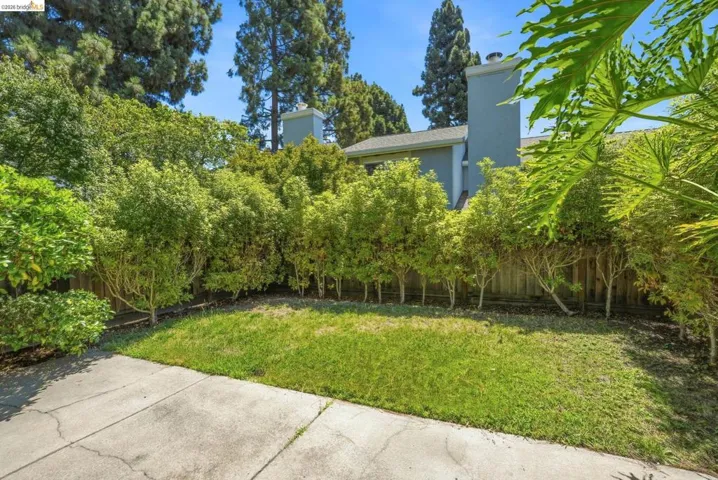 Expansive green lawn surrounded by mature landscaping and a privacy fence