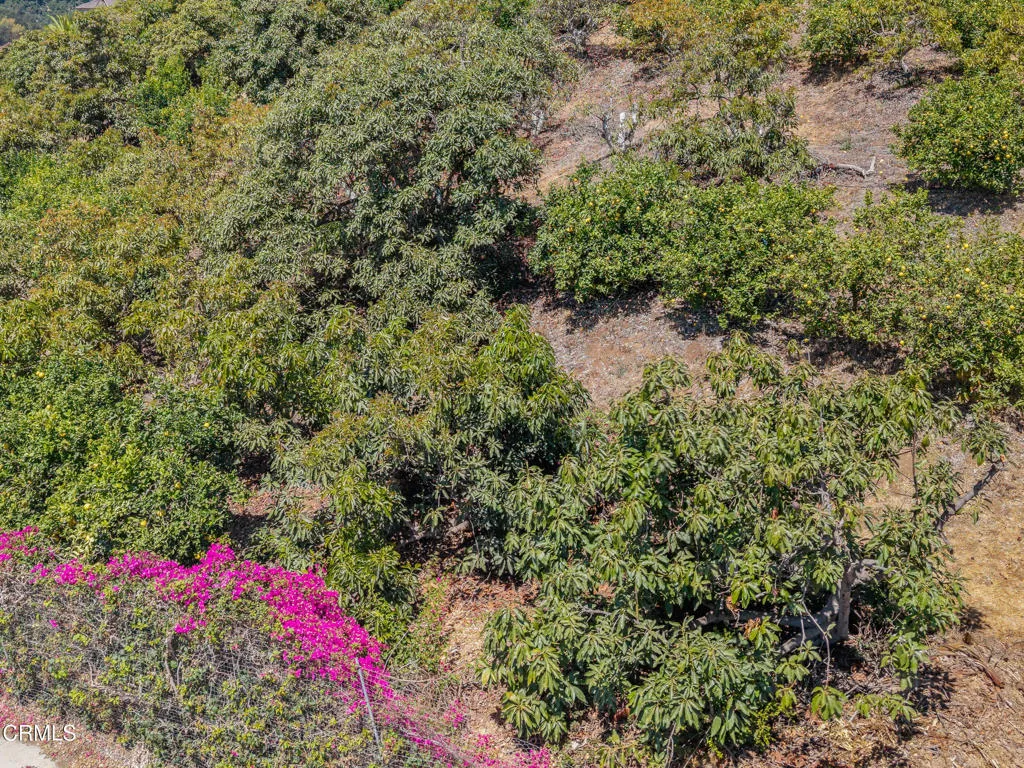 12_tree-1