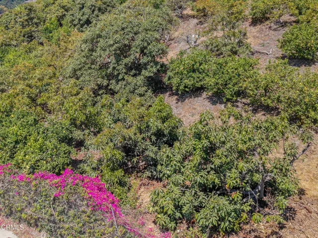 12_tree-1