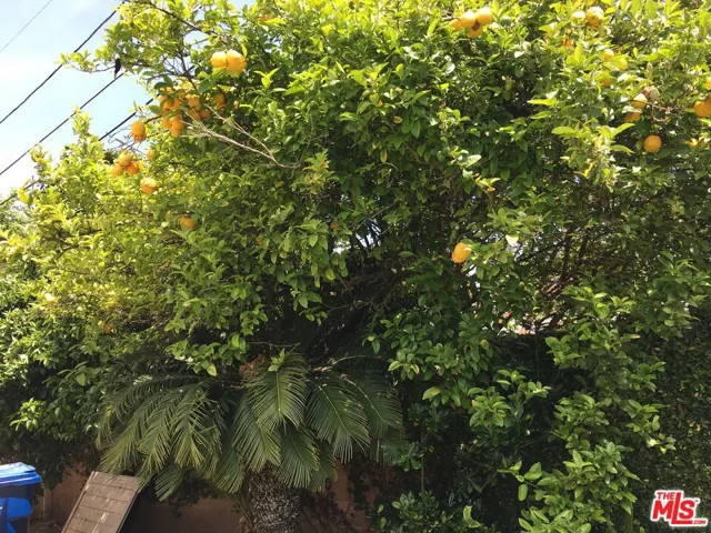 2816 Tilden Avenue, Los Angeles, California 90064