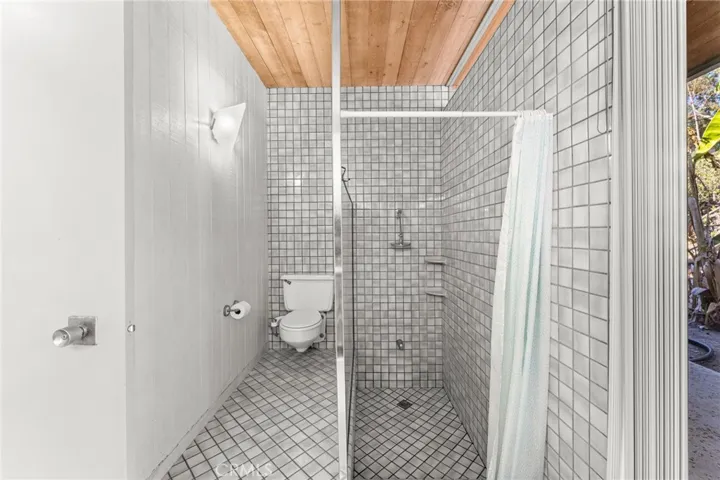 Stepdown bathtub and shower