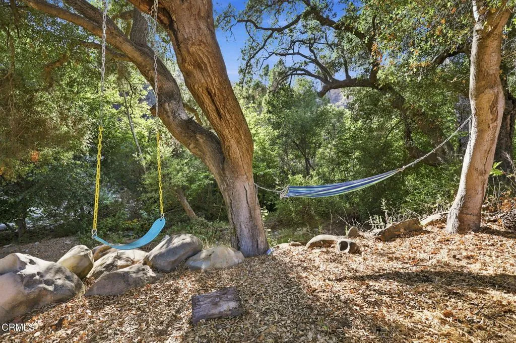114-web-or-mls-Playground