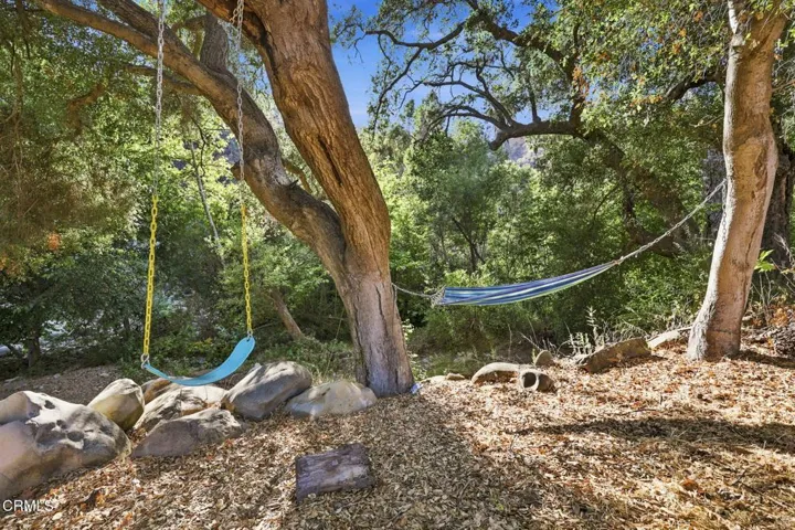 114-web-or-mls-Playground