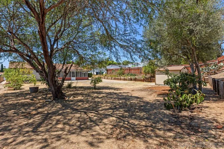 Yard