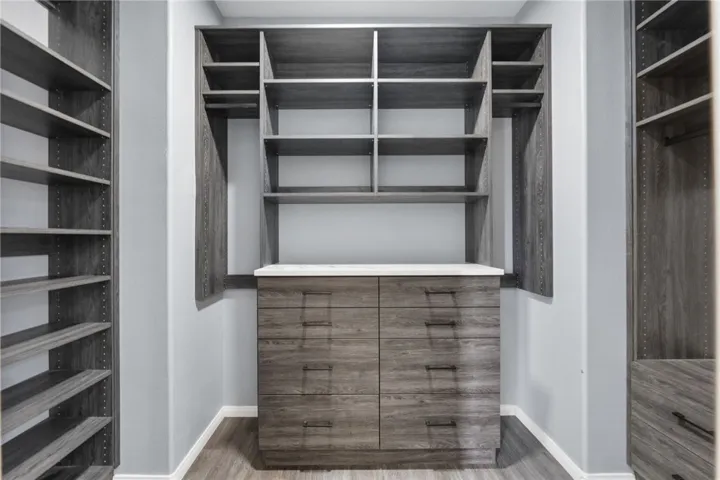 Primary Suite custom closet #1