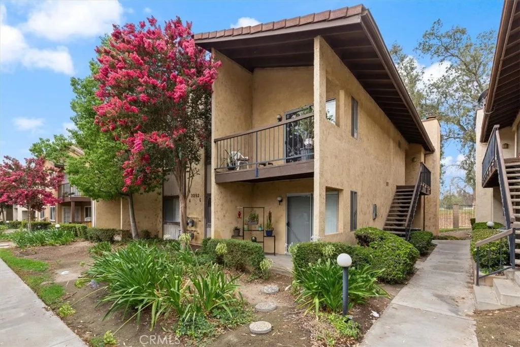 3252 Little Mountain