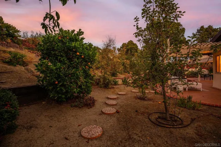 1007 Passiflora Ave, Encinitas, California 92024