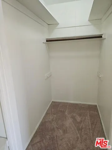 primary walk-in closet
