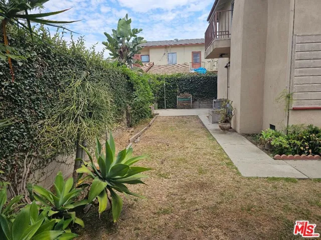 spacious yard with fruit trees