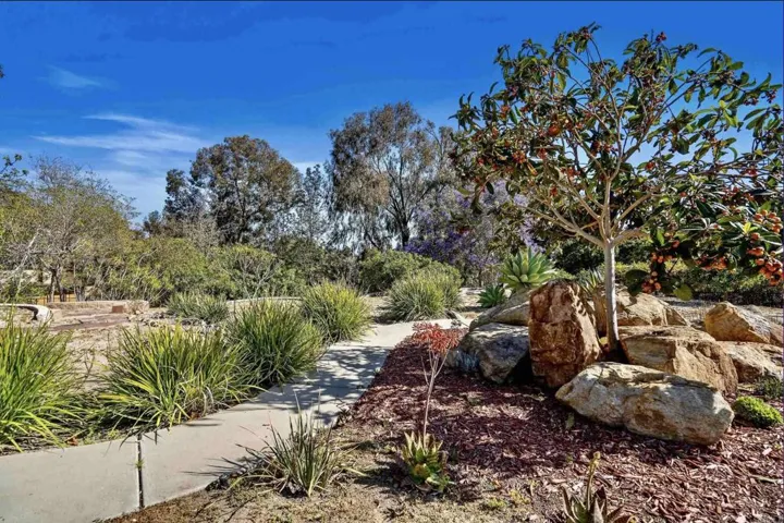 3111 Skyline, Oceanside, California 92054