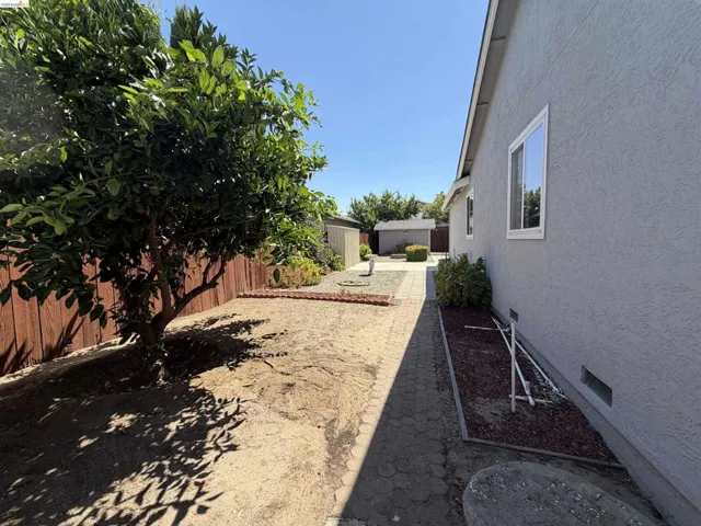 Exterior side yard featuring a mature tree, privacy fencing, and a stucco-finished wall with white-framed windows