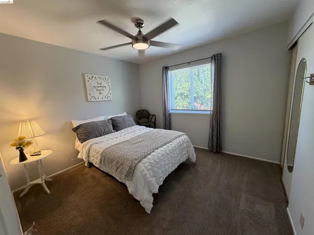 Neutral-toned room featuring a large window, a ceiling fan with integrated lighting, and plush carpeting