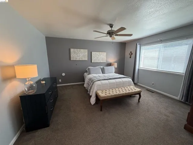 Carpeted room with a ceiling fan, a prominent window with blinds, and a two-tone wall treatment