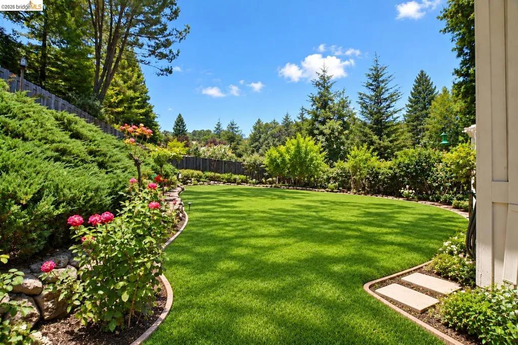 Digitally altered image showing a conceptual lawn area.