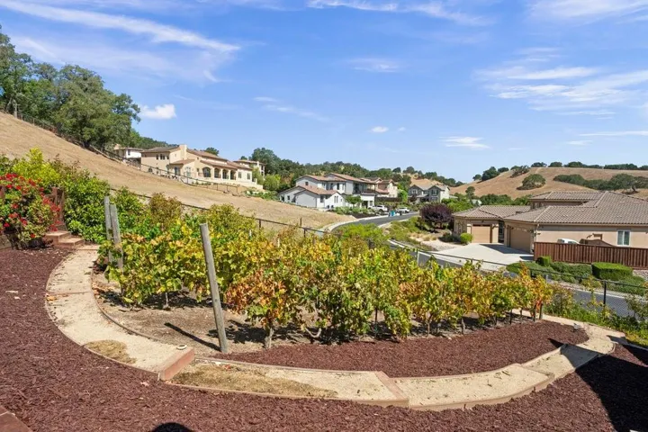 9175 Tea Tree Way, Gilroy, California 95020