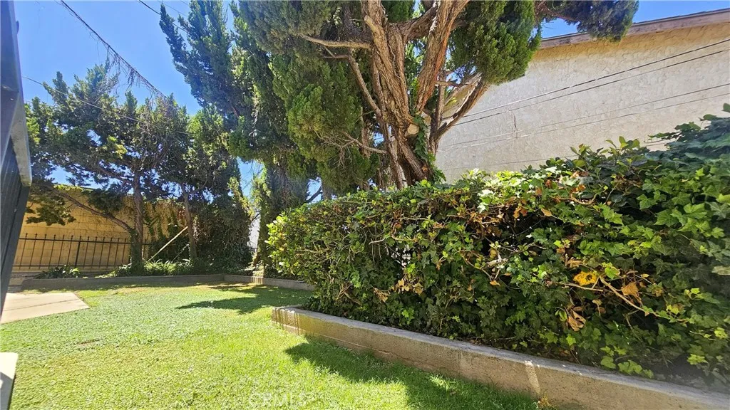 Back grass area next to unit