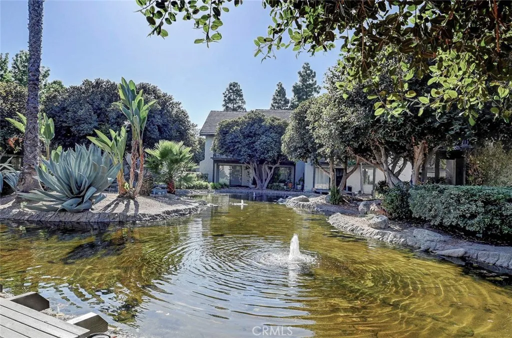 Tranquil, Beautiful Lagoon