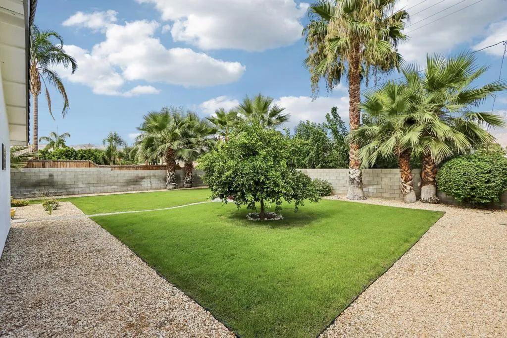 Back Yard