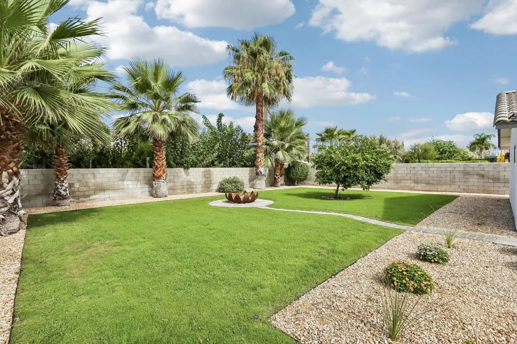 Back Yard