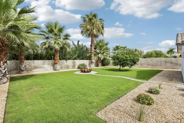 Back Yard