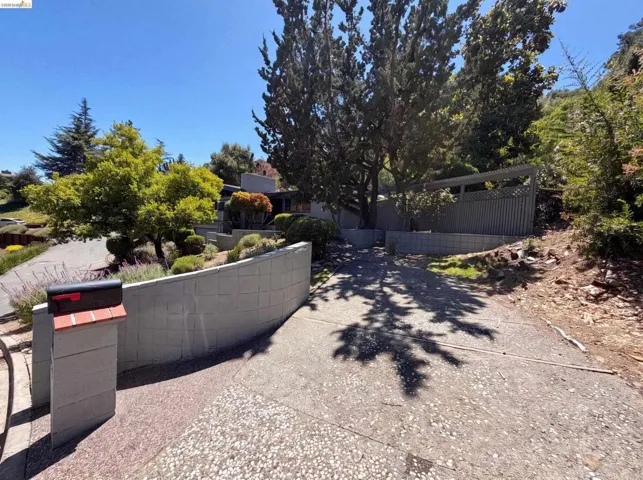 Expansive concrete driveway with a retaining wall, mature trees, and established landscaping