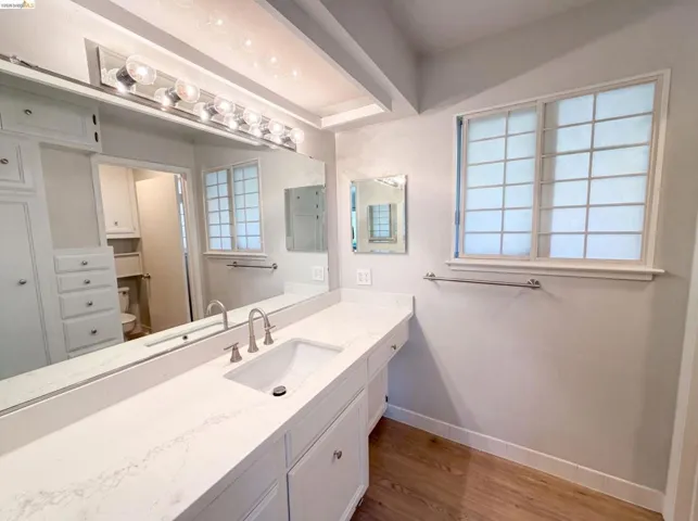 Bathroom vanity featuring a single undermount sink, brushed nickel faucet, and a spacious countertop