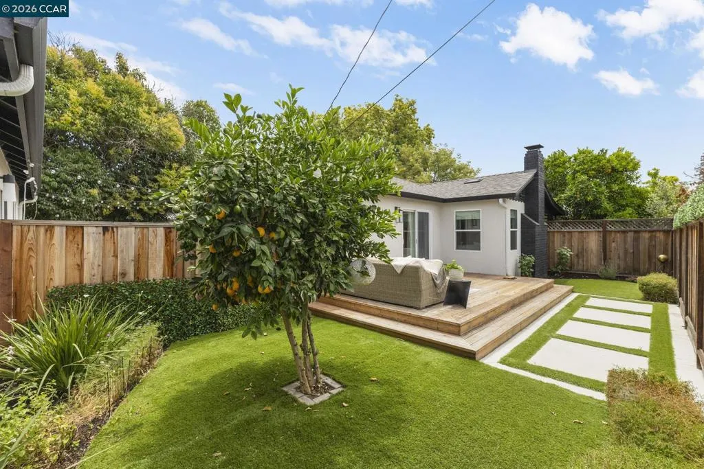 Main House Lemon Tree