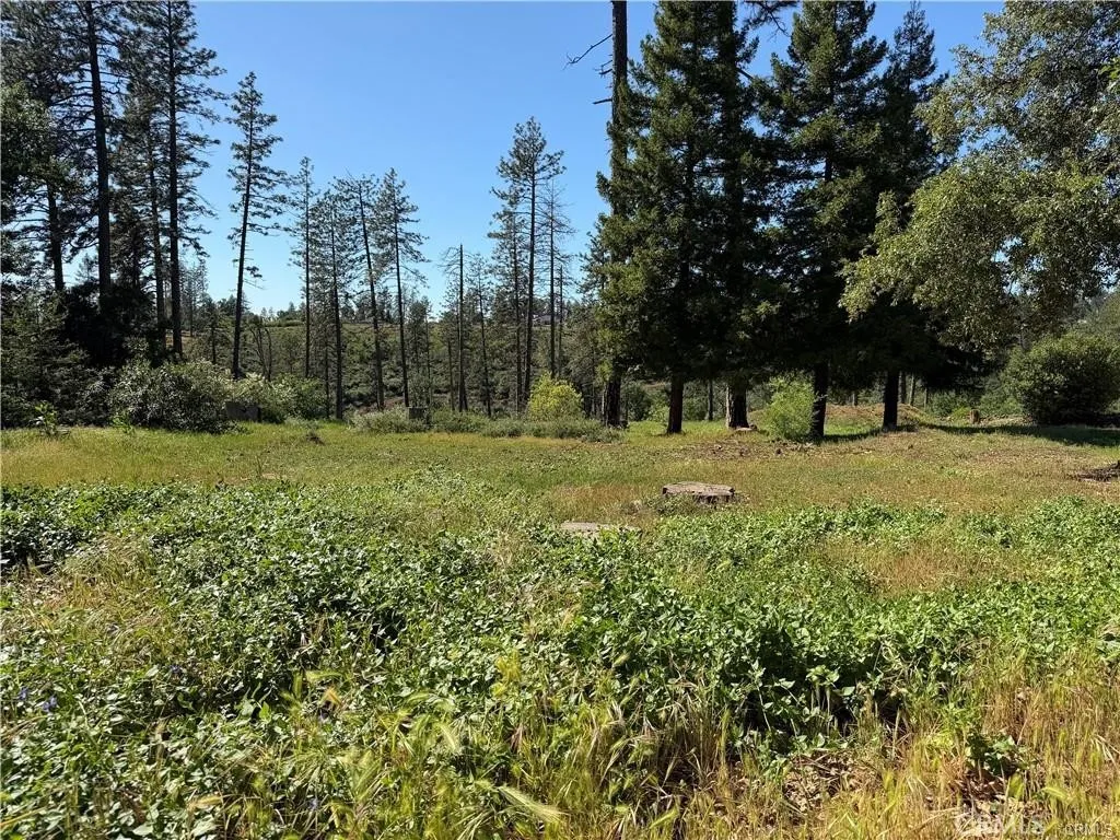 5665 Chaney, Paradise, California 95969 — photo 4
