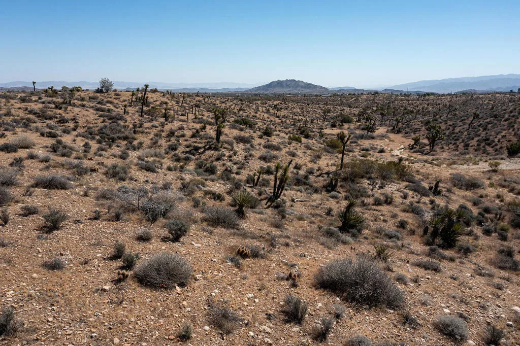 133 Elata Avenue, Yucca Valley, California 92284 — photo 5