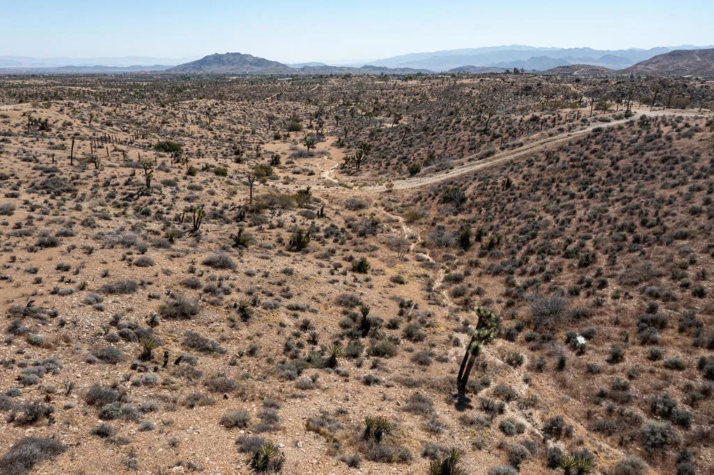 133 Elata Avenue, Yucca Valley, California 92284 — photo 4