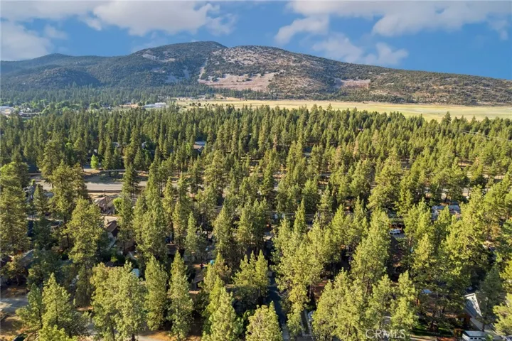 633 Barret, Big Bear City, California 92314