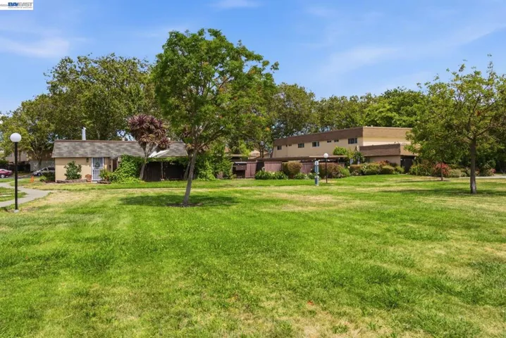 Expansive green lawn with mature trees and a paved walkway