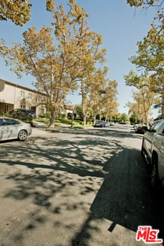 Tree Lined Street