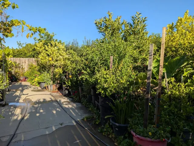 2517 Jayden Way, Stockton, California 95212