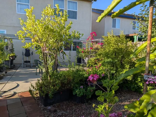 2517 Jayden Way, Stockton, California 95212