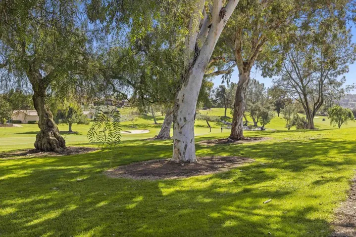 17305 Campillo Drive, San Diego, California 92128