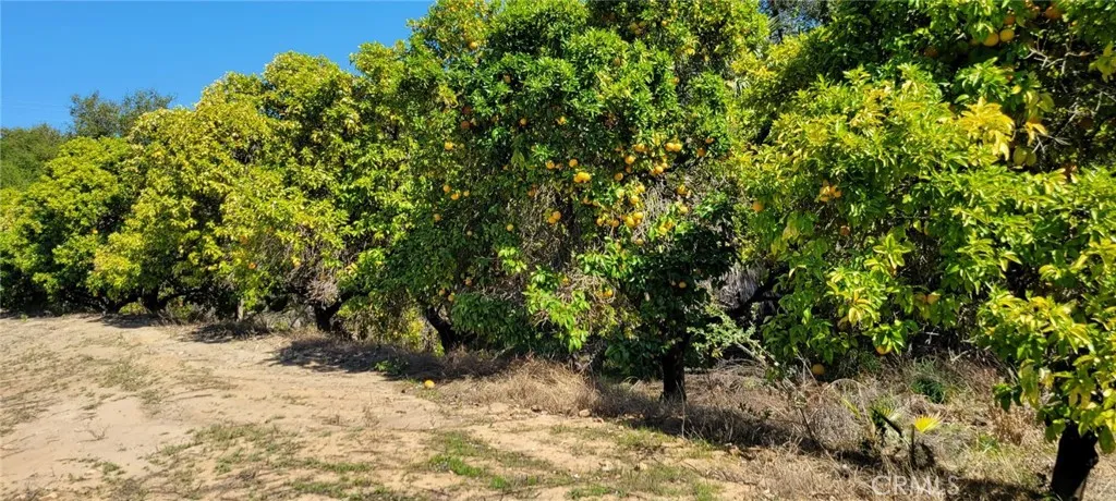 0 Calle Cuero, Temecula, California 92590