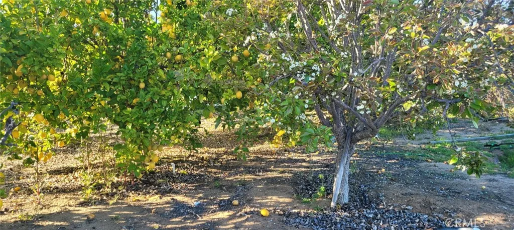 0 Calle Cuero, Temecula, California 92590