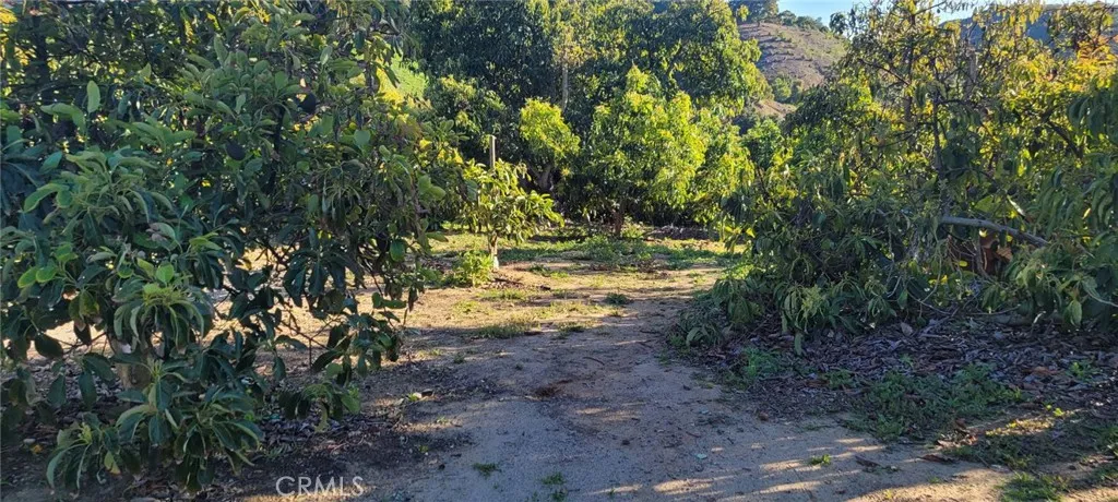 0 Calle Cuero, Temecula, California 92590