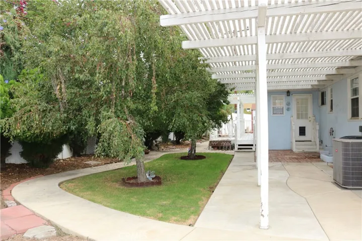 Backyard fruit trees