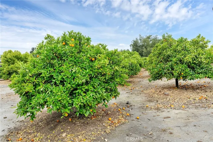 24800 Cornstalk Road, Wildomar, California 92595