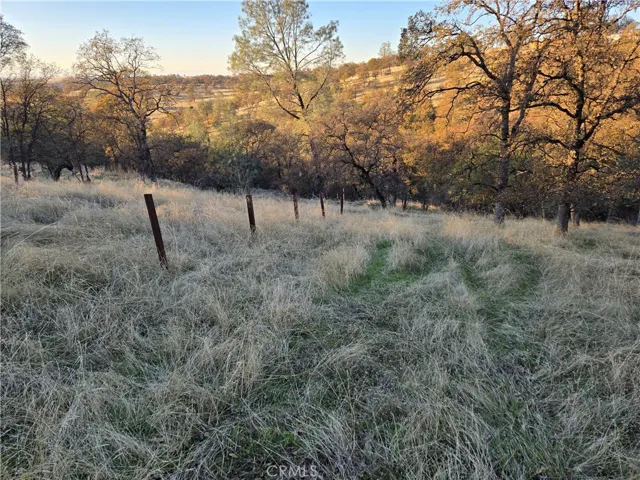0 Avacado Road, Bangor, California 95914