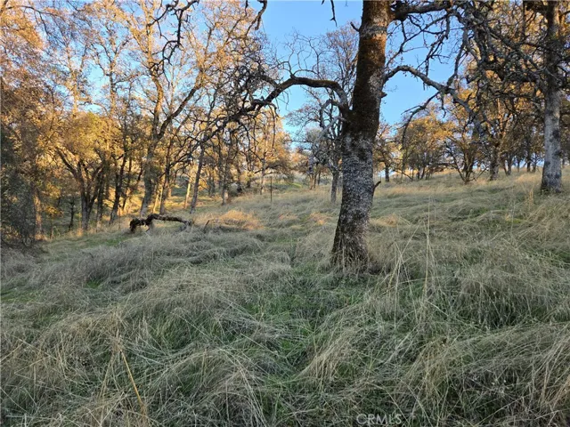 0 Avacado Road, Bangor, California 95914